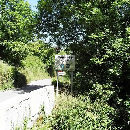 Carrio Таранес